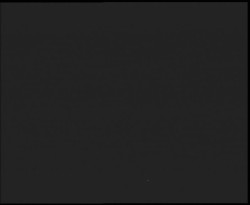 Nástup na běžecké tratě