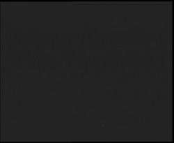 Nástup na běžecké tratě