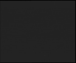 Nástup na běžecké tratě