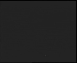 Nástup na běžecké tratě