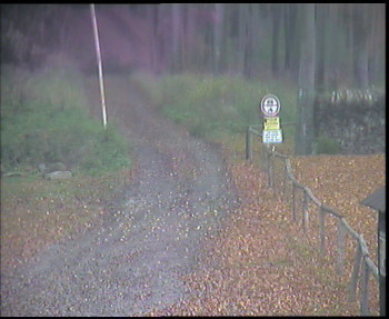 Snímek    1.11.2025 v 07:45