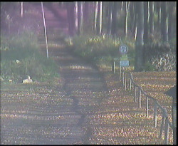 Nástup na běžecké tratě