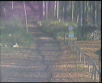 Snímek    1.11.2025 v 09:15