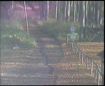 Snímek    1.11.2025 v 09:30