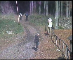 Nástup na běžecké tratě