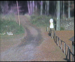 Nástup na běžecké tratě