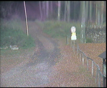 Snímek    1.11.2025 v 15:00