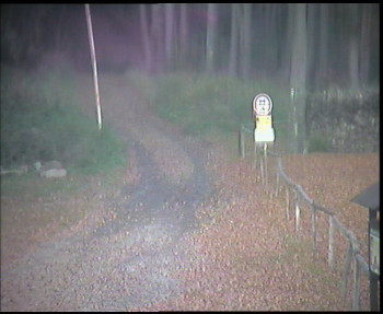 Snímek    1.11.2025 v 16:00