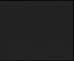 Nástup na běžecké tratě