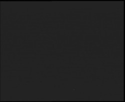 Nástup na běžecké tratě