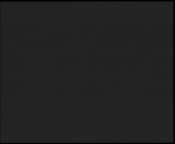 Nástup na běžecké tratě