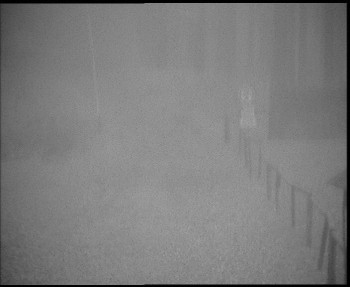 Snímek    3.11.2025 v 07:00