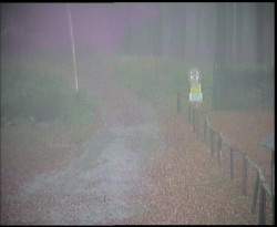 Nástup na běžecké tratě