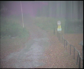 Snímek    3.11.2025 v 08:15