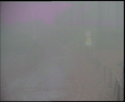 Nástup na běžecké tratě