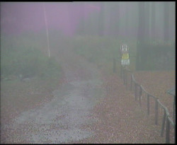 Nástup na běžecké tratě