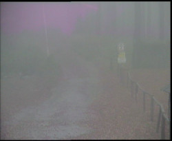 Nástup na běžecké tratě