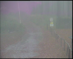 Nástup na běžecké tratě