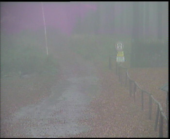 Snímek    3.11.2025 v 12:00