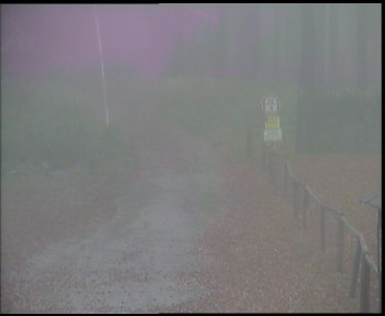 Snímek    3.11.2025 v 13:00