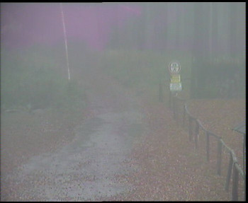 Snímek    3.11.2025 v 13:15