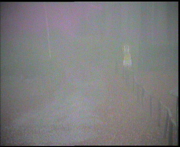 Snímek    3.11.2025 v 16:00