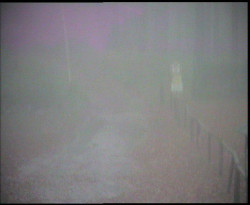 Nástup na běžecké tratě