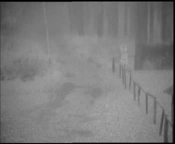 Snímek    3.11.2025 v 16:30