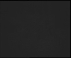 Nástup na běžecké tratě