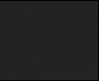 Snímek    3.11.2025 v 17:00