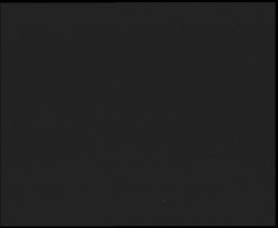 Nástup na běžecké tratě