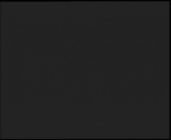 Nástup na běžecké tratě