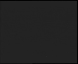 Nástup na běžecké tratě