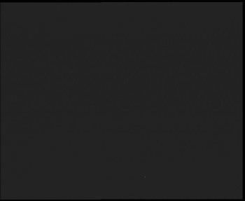 Snímek    3.11.2025 v 19:00