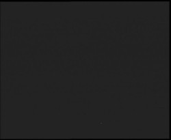 Nástup na běžecké tratě