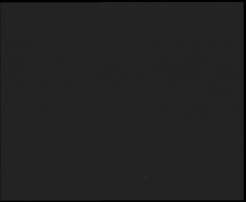 Snímek    3.11.2025 v 21:00