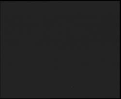 Nástup na běžecké tratě