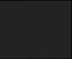 Nástup na běžecké tratě