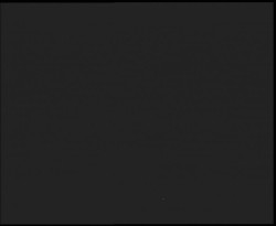 Nástup na běžecké tratě