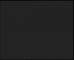 Nástup na běžecké tratě