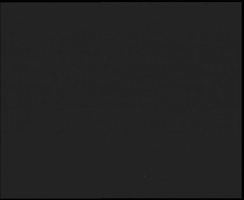 Snímek    4.11.2025 v 00:30