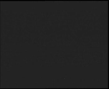 Snímek    4.11.2025 v 01:00