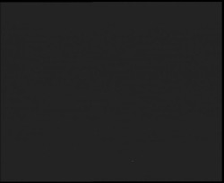 Nástup na běžecké tratě