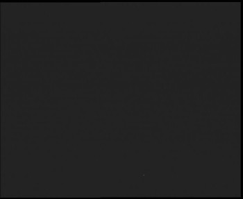 Snímek 4.11.2025 v 02:00