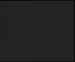 Nástup na běžecké tratě