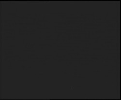 Nástup na běžecké tratě