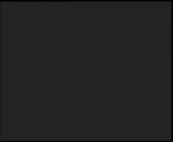 Nástup na běžecké tratě