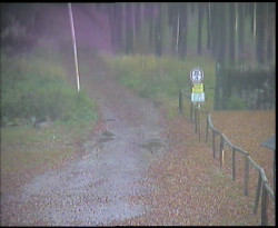 Nástup na běžecké tratě