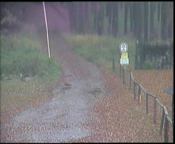 Nástup na běžecké tratě