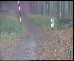 Nástup na běžecké tratě